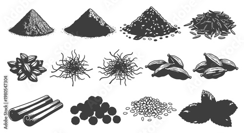 Culinary Herbs and Natural Spices Hand Drawn Illustration