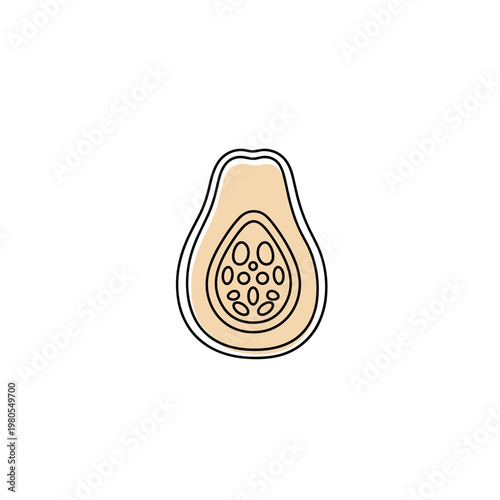 Papaya fruit cut in half showing seeds and flesh details