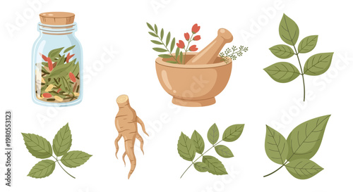 Traditional Herbal Medicine Elements Ginseng Root, Dried Botanicals, Medicinal Leaves, Mortar and Pestle for Natural Wellness and Healing