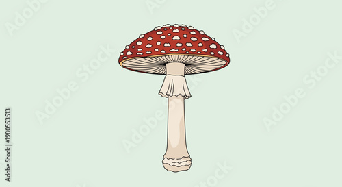 Detailed botanical illustration of a classic red fly agaric mushroom with white spots and a long stalk on a pale green ground.