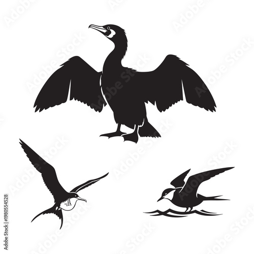 Coastal sea bird icons with cormorant frigate and tern