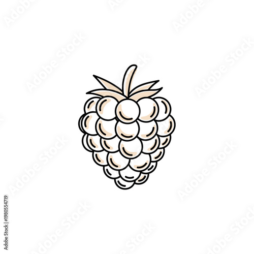Line art illustration of a raspberry on white background