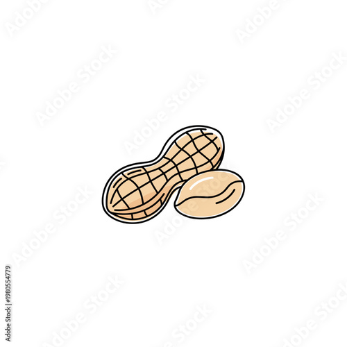 Roasted peanuts in their shell and out on a white background