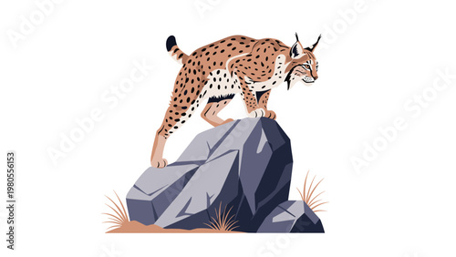 Powerful illustration shows a wild lynx cat with spotted fur standing alertly on a grey jagged rock in its natural mountain habitat.