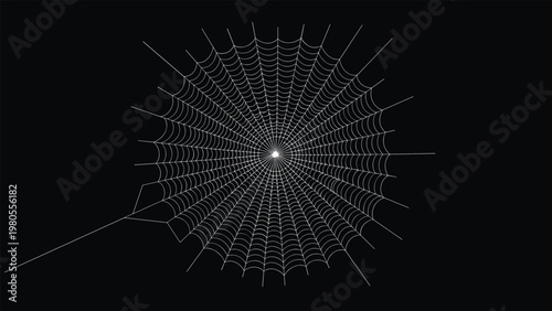 Detailed white spider web pattern is centered against a solid black background creating a striking contrast for a nature theme.