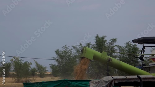 Combine Harvester Unloading Grain into Tractor – Farming Process Footage