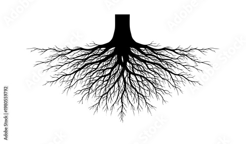 Realistic tree root system black silhouette vector with intricate organic underground plant roots isolated on white background