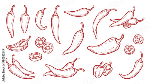 Chili Pepper Vector Set Hand Drawn Chili Peppers Whole and Slices Collection
