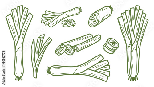 Leek vegetable whole stalks slices and cuts hand drawn outline illustration set