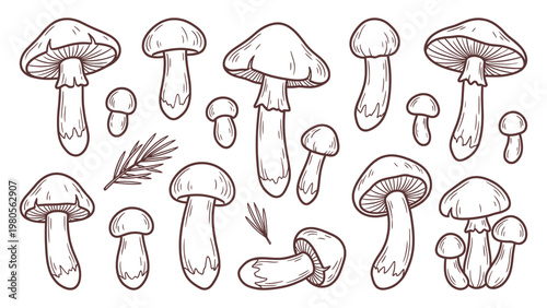 Fotografía Matsutake mushroom collection various shapes with pine elements hand drawn outli