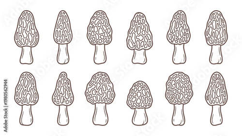Morel mushroom collection different shapes hand drawn outline illustration set