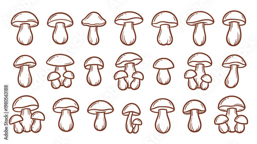 Hand drawn porcini mushrooms variety line art set
