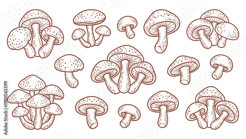Hand drawn shiitake mushrooms set line art edible fungi illustration