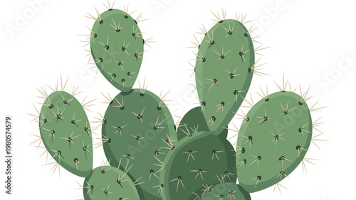Illustration of a prickly pear cactus with large green oval pads covered in sharp yellow spines against a plain white background for desert.