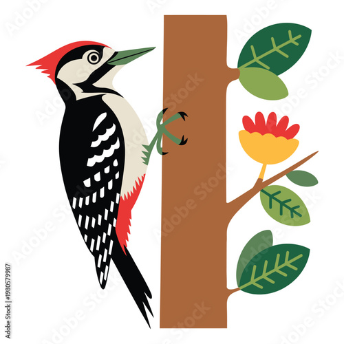 Photos woodpecker