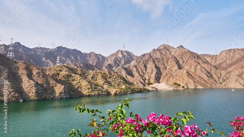Al Rafisah Dam Lake with Hajar Mountains and Pink Flowers in Sharjah, UAE