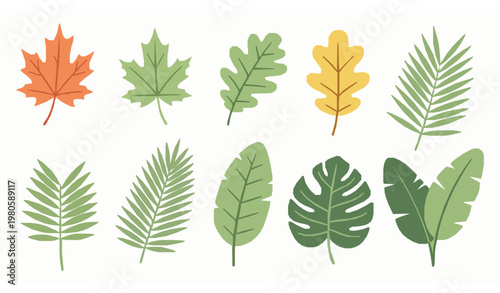 Cute leaves vector set different tree leaf collection flat illustration