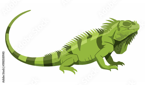 Iguana vector illustration flat reptile animal isolated on white background