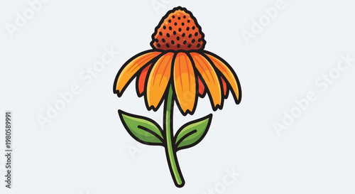 Vibrant orange coneflower with a spiky center and delicate green leaves on a white background