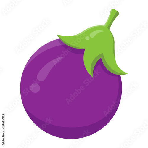 Eggplant Illustration