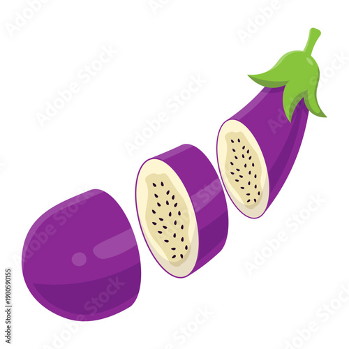Eggplant Illustration