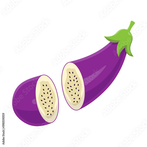 Eggplant Illustration