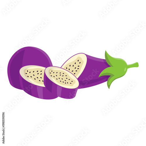 Eggplant Illustration