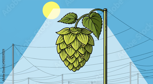 Green hop cone hangs from vine, illuminated by a bright sun against a blue sky with power lines