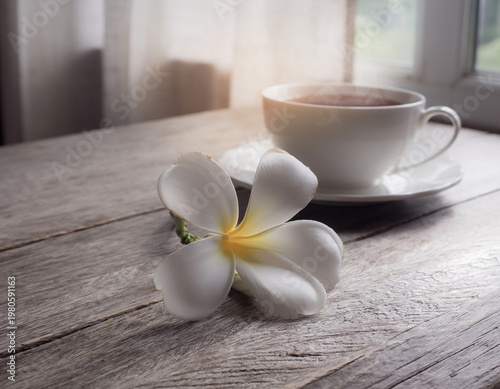 Single White Frangipani Flower on Weathered Wooden Table Beside Cup of Tea with Soft Morning Window Light, Calm Lifestyle and Wellness Concept