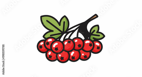 A cluster of bright red berries with green leaves on a dark stem