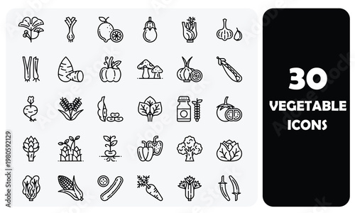 Set of 30 Minimalist Vegetable and Fresh Produce Line Icons