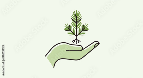 Hand holding a small pine sapling with roots and green needles against a light background