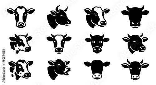 Cow head silhouette icons set, 12 black bull and heifer face vector illustrations, farm animal livestock portraits for dairy and meat branding