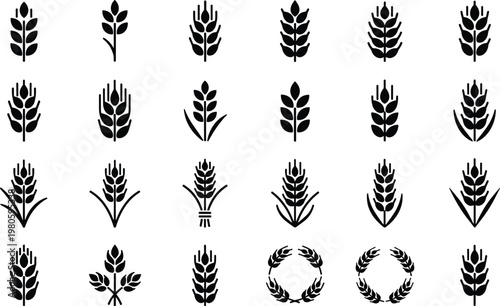 Collection Of Black Wheat Ear Icons Set For Organic Agriculture Bakery Logo Design And Natural Grain Harvest Symbols Isolated On White Background Vector