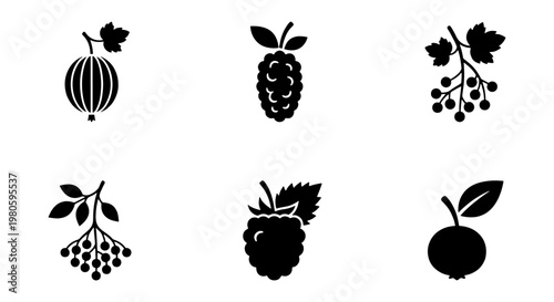 Minimalist berry icons set, black silhouette fruit vector collection, organic garden berries including raspberry and gooseberry, 6 flat design elements