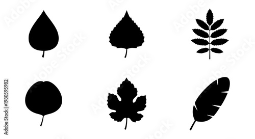 Black leaf silhouette collection, set of 6 botanical vector icons, minimalist foliage shapes for nature branding and eco design