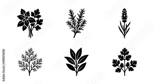 Minimalist culinary herb icons set, black vector botanical illustrations of basil, rosemary, lavender, dill, bay leaf, and parsley for kitchen branding