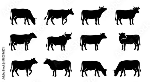 Black cow silhouette collection, 12 cattle vector icons set, farm animal livestock shapes, dairy and beef cattle grazing profiles for agriculture