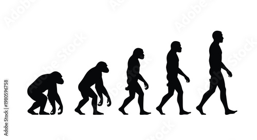 Illustrating human evolution from primate ancestor to modern homo sapiens