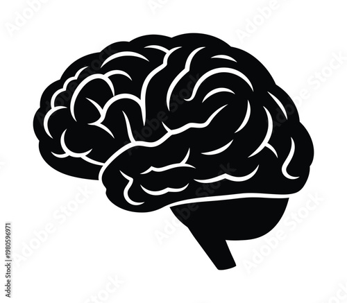 Vector of a human brain in silhouette with visible folds and intricate shape