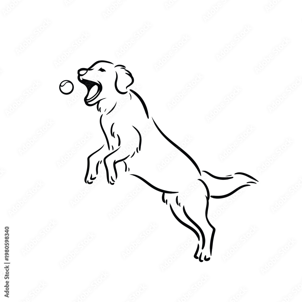 Fototapeta premium Golden Retriever Jumping and Catching Ball Dog Line Art Vector