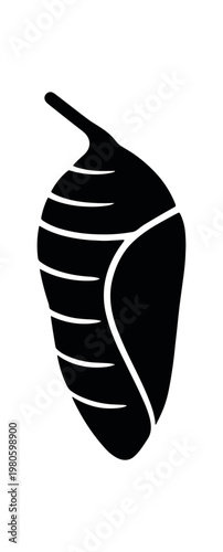 Solid black silhouette of a hanging chrysalis or pupa suggesting metamorphosis, lifecycle, or nature themes for icons and labels.