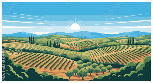 Sunlit rolling hills covered in vineyards and olive groves under a blue sky