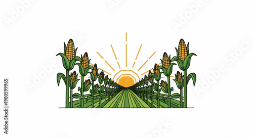 Cornfield with sun rising over rows and stalks
