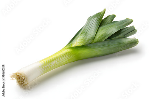 
singleLeek isolated 