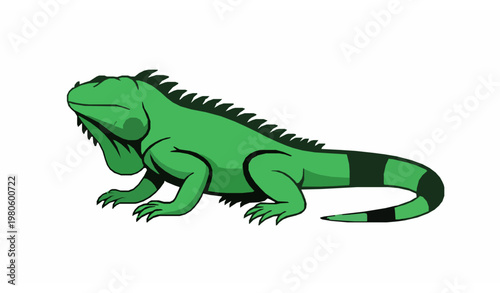 Stylized iguana vector illustration flat tropical reptile design