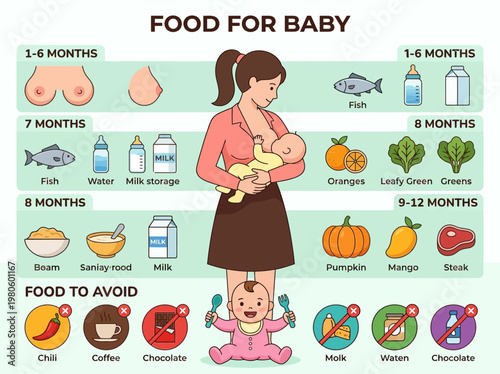 Baby Food Guide Infographic Showing Healthy Nutrition Stages from 1 to 12 Months, Breastfeeding, and Foods to Avoid for Infants