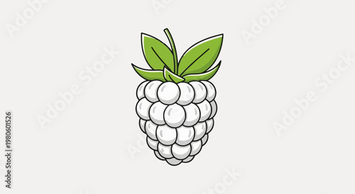 Cartoon illustration of a white raspberry with green leaves