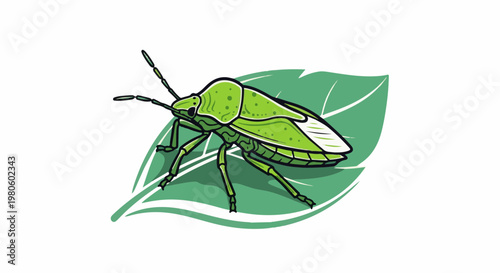 A green stink bug with detailed segments rests on a simple green leaf