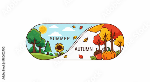 A split illustration depicting summer on the left and autumn on the right